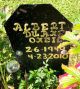 Albert Duane O'Neil (1949-2010)
