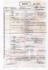 Birth Certificate - William Henry Spurrier (1901-1980)