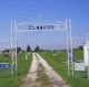 Elmwood Cemetery